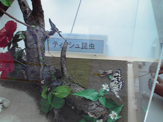 201007251.jpg