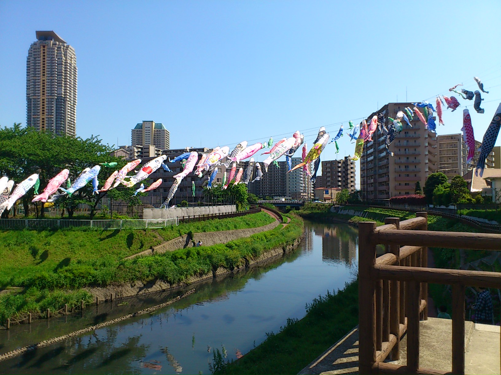 201205051.jpg